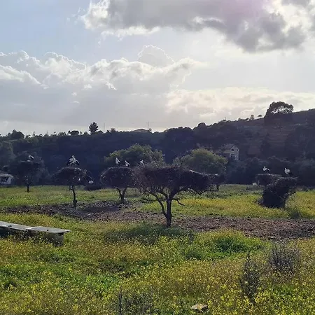 Vista Bonita With Views On The Ocean And The Hills * Portimao